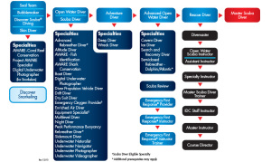 PADI-Con-Ed-Flow-Chart